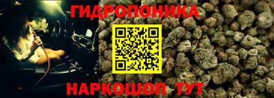 ешки Обь