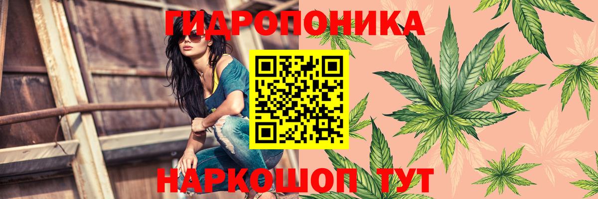 Шишки марихуана тримм  Марихуана планчик  Конопля марихуана  Сокол  Вход с VPN  Шишки марихуана сатива 